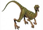 Procompsognathus compy
